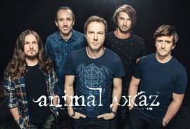 Animal ДжаZ